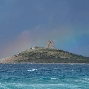 Zachi , Palermo Italia